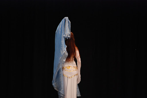 immagine spettacolo danza del ventre